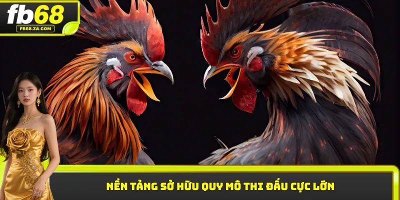 Nền tảng sở hữu quy mô thi đấu cực lớn